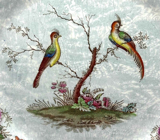 Vintage Decorative Plate From Mason's | Colourful Bird Pattern Design