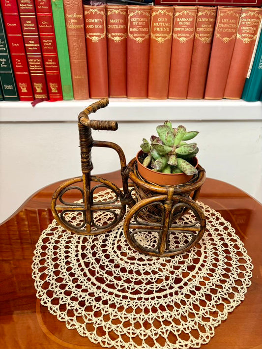 Small decorative bike with a potted plant on a doily in front of vintage books