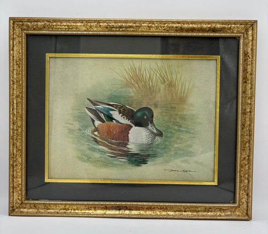 Framed painting of a duck in water with reeds