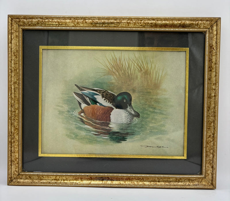 Framed painting of a duck in water with reeds