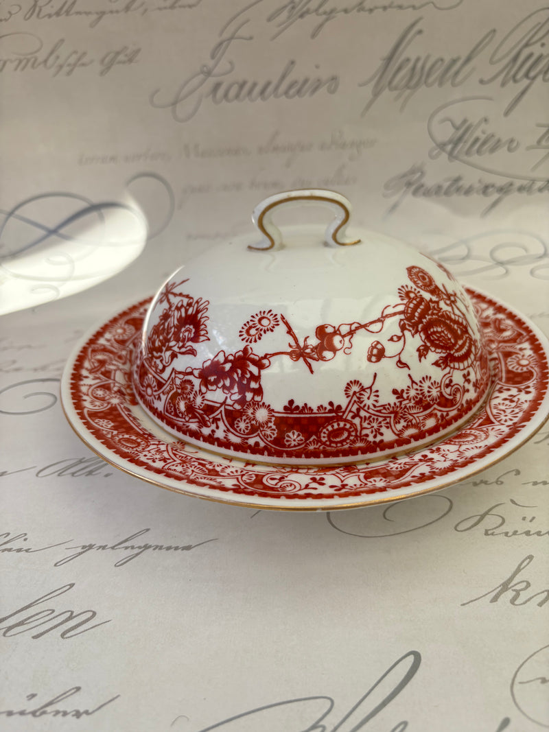 Red Butter Dish From Royal Crown Derby 4