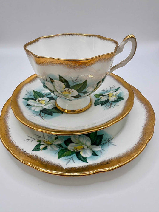 Vintage Salisbury China Floral Tea Trio Set – Made in England