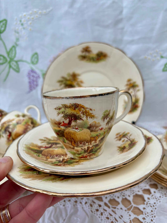 Vintage Tea Set | By Alfred Meakin 1940s | Hayride pattern