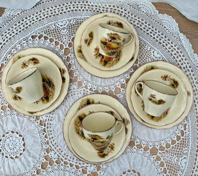 Vintage Tea Set | By Alfred Meakin 1940s | Hayride pattern
