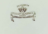 Vintage Decorative Plate From Mason's | Colourful Bird Pattern Design