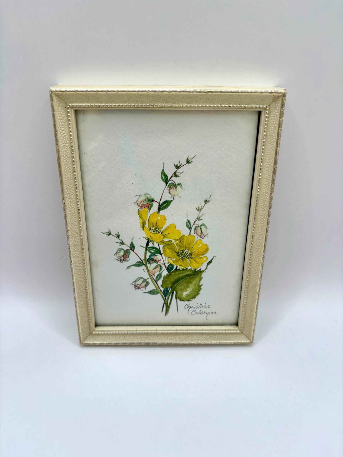Framed Watercolor Painting by Christine Coleman, Wall Decoration Piece