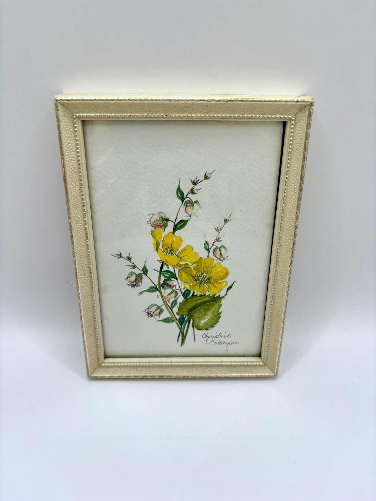 Framed Watercolor Painting by Christine Coleman1