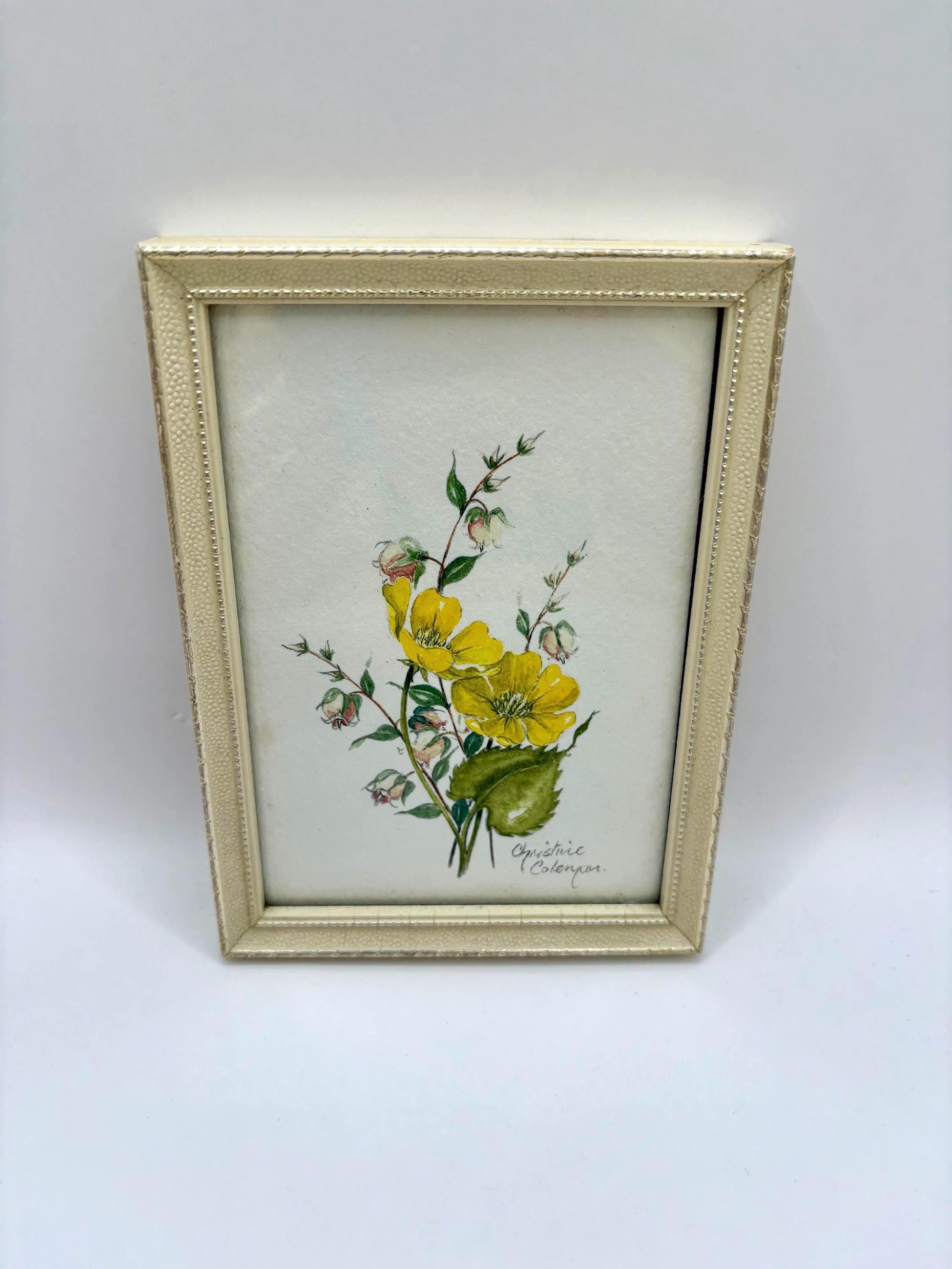 Framed Watercolor Painting by Christine Coleman1