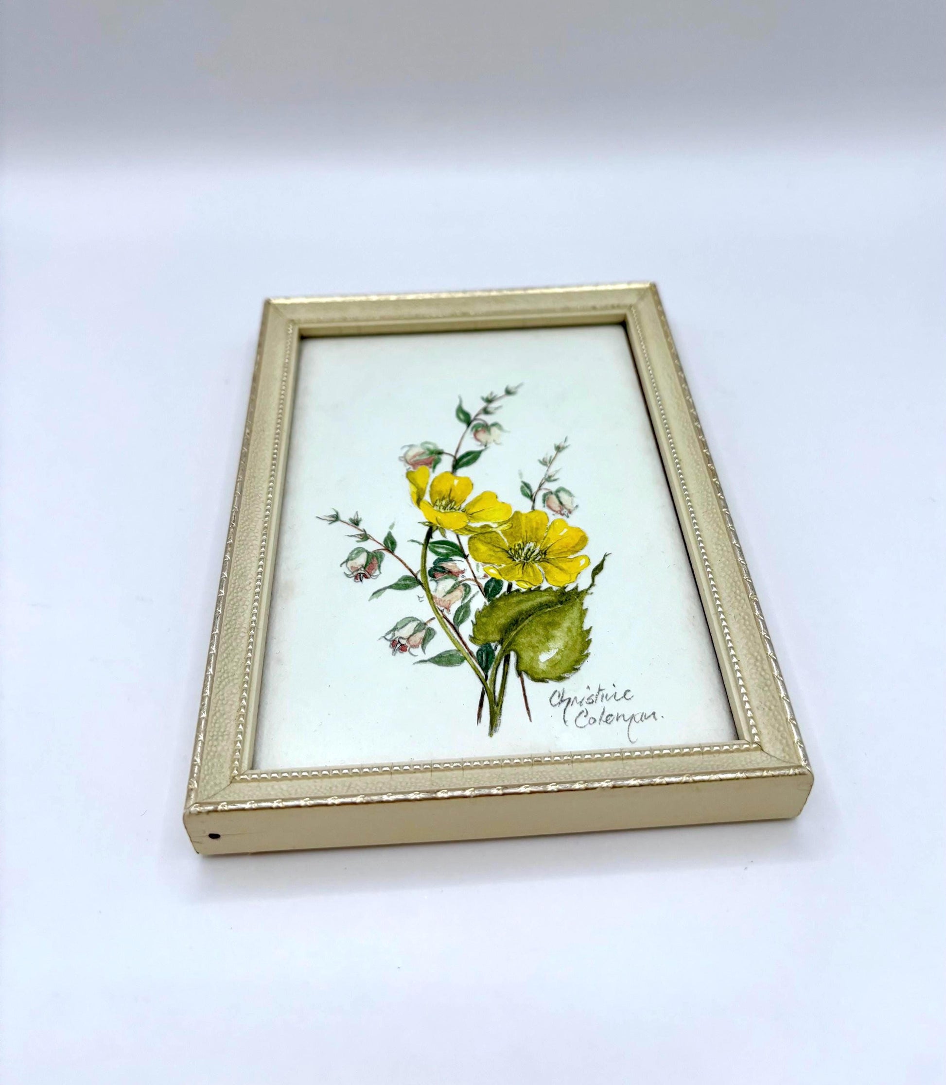Framed Watercolor Painting by Christine Coleman2
