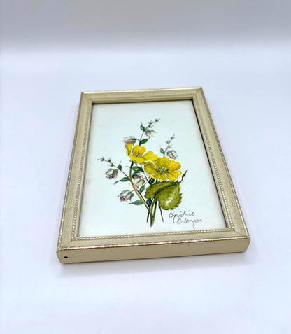 Framed Watercolor Painting by Christine Coleman2