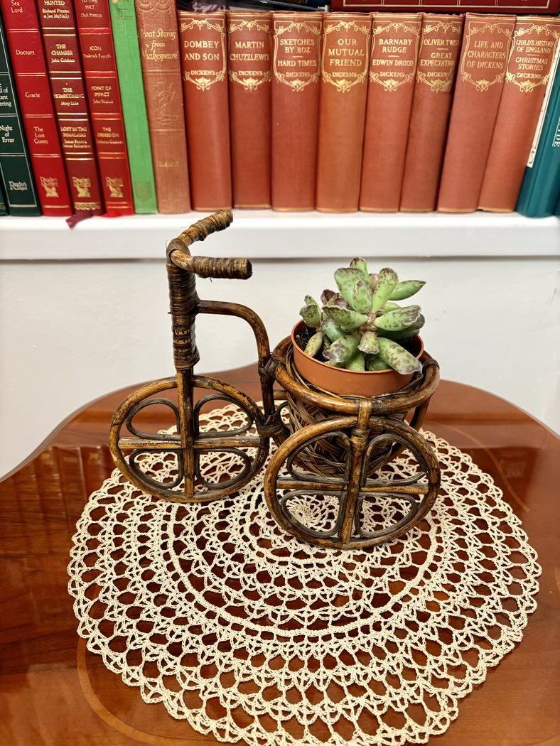 Small decorative bike with a potted plant on a doily in front of vintage books