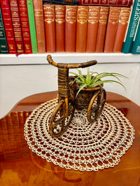 Decorative miniature tricycle with a plant on a doily in front of bookshelves.