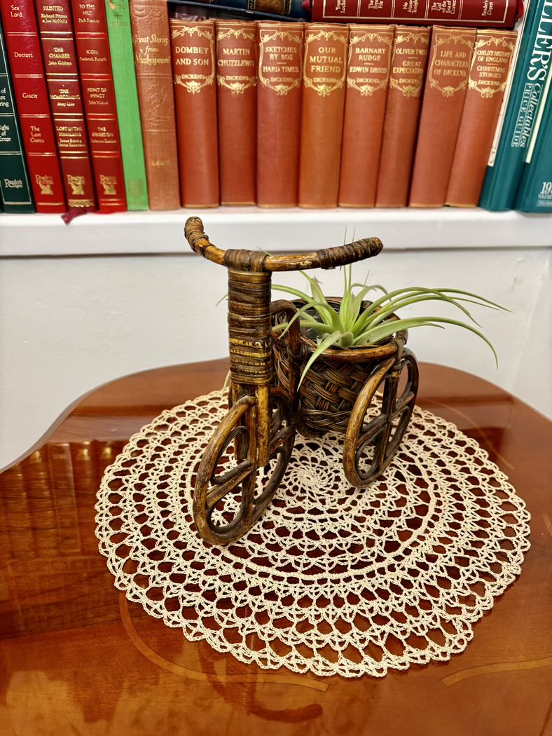 Decorative miniature tricycle with a plant on a doily in front of bookshelves.