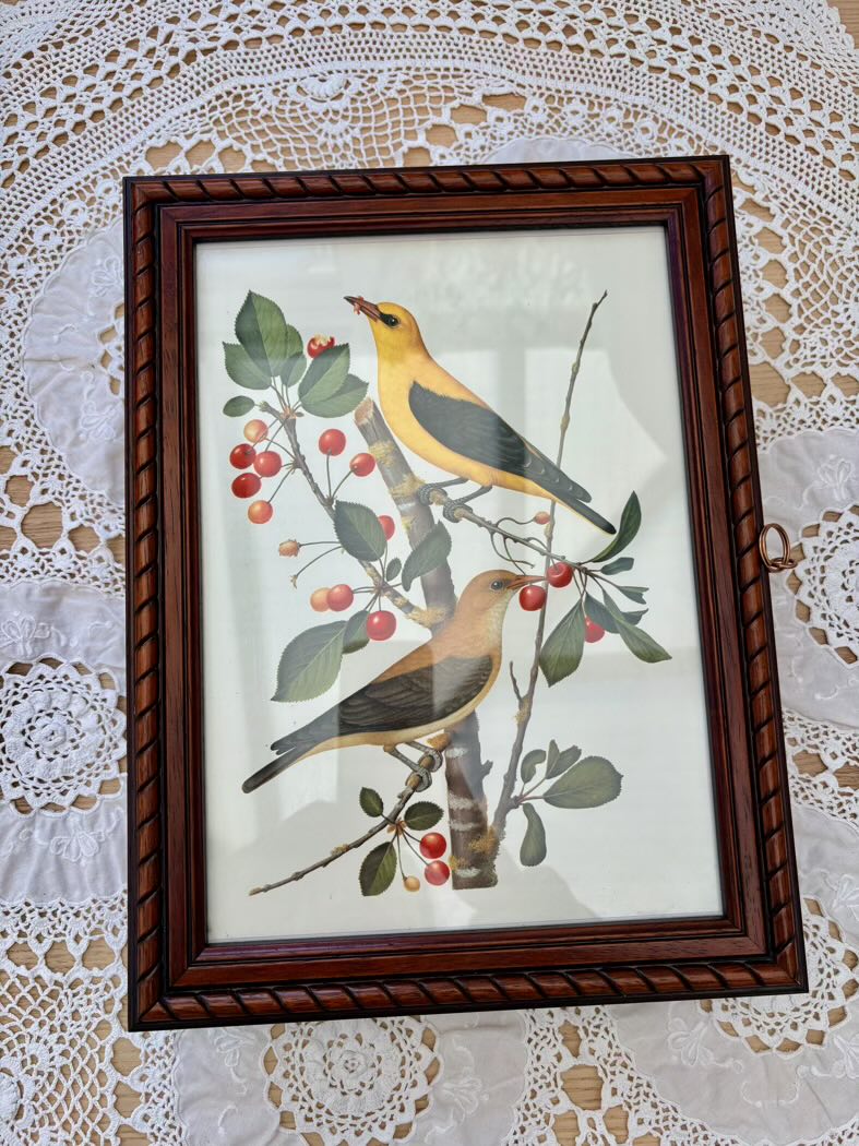 Framed artwork of birds on a branch with berries on a lace background