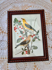 Framed artwork of birds on a branch with berries on a lace background