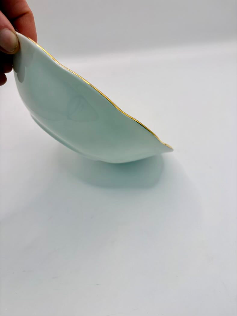 Light blue ceramic bowl with gold rim held by a hand on a white background