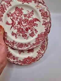 Decorative red floral and bird pattern on a white plate held by a hand.