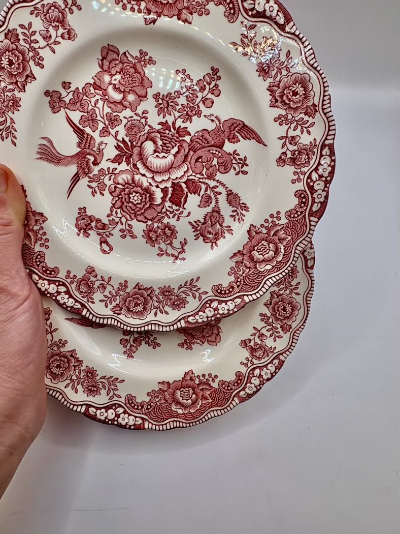 Decorative red floral and bird pattern on a white plate held by a hand.
