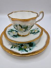 Teacup and saucer set with floral design on a white background