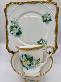 Tea set with floral design on a white background