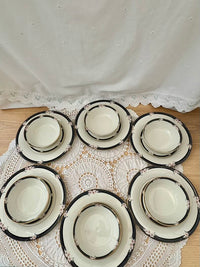 Royal Doulton Vogue Enchantment TC1156 Bone China Dinner Service 36 Pieces 1984