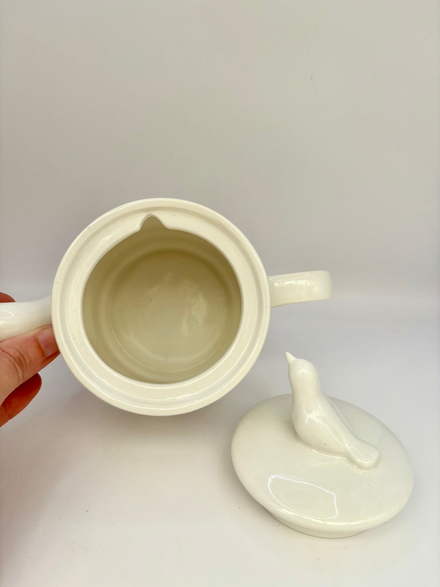 RHS-inspired ceramic teapot with floral and bird design