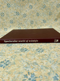 Vintage Reader’s Digest wildlife book featuring animals of Southern Africa with rich photography and detailed nature descriptions