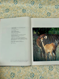 Vintage Reader’s Digest wildlife book featuring animals of Southern Africa with rich photography and detailed nature descriptions