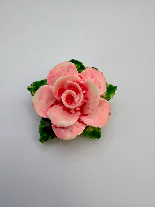Pink rose flower on a white background
