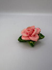 Pink flower with green leaves on a white background
