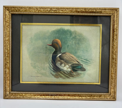 Framed artwork of a duck on water with a gold frame.