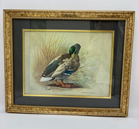 Framed painting of a duck in natural setting