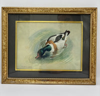 Framed painting of a duck swimming in water
