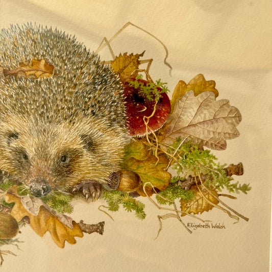 Illustration of a hedgehog surrounded by leaves and plants on a beige background