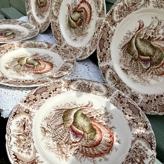 Set of decorative plates with turkey designs on a table.