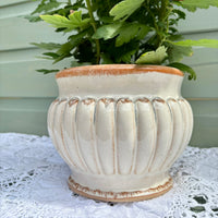 White ceramic planter with brown accents on a white lace tablecloth