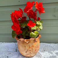 Potted plant with red flowers in a decorative brown pot on a lace tablecloth.