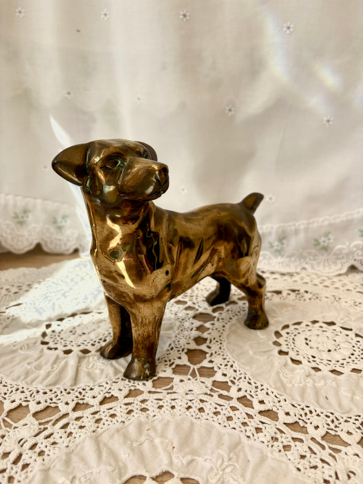 Bronze dog figurine on a lace tablecloth with a white curtain background