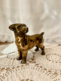 Bronze dog figurine on a lace tablecloth with a white curtain background