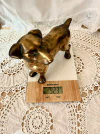 Bronze dog-shaped object on a digital scale with a white lace tablecloth background