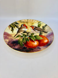Decorative plate with birds and apples on a white background