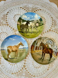 Set of horse-themed decorative plates on a lace doily