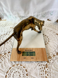 Bronze dog figurine on a digital scale with a white lace background