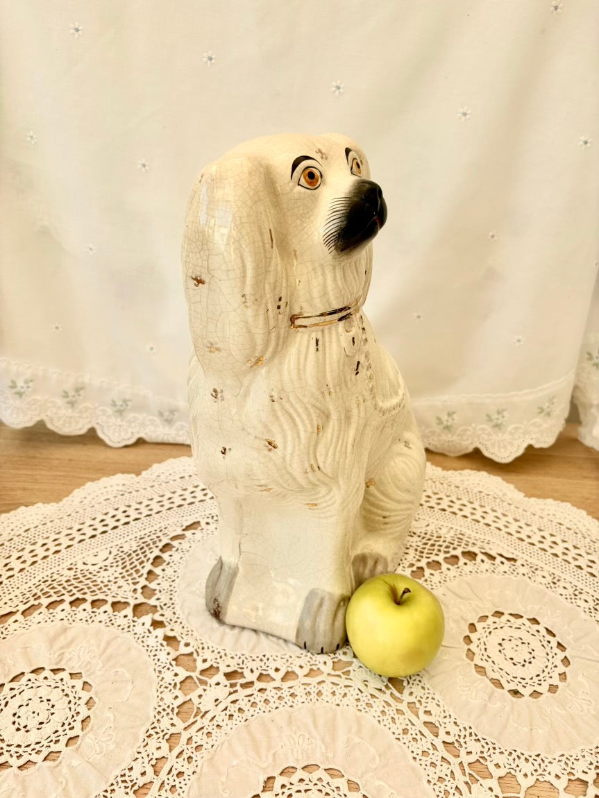 Dog-shaped container with a face on a lace tablecloth