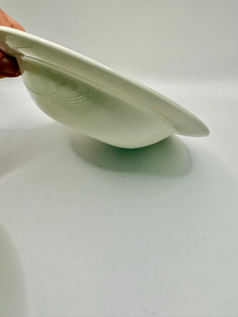 White ceramic plate held by a hand on a light gray background