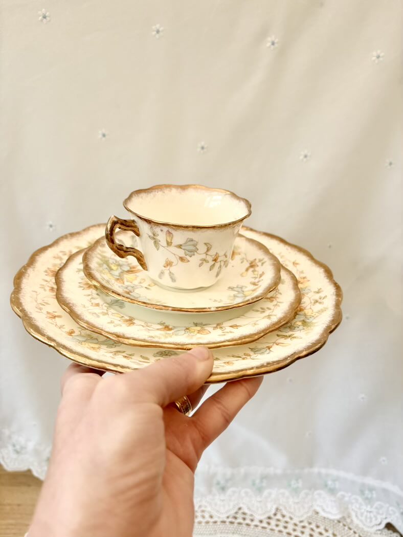 Set of gold-trimmed ceramic plates and cup held by a hand against a neutral background