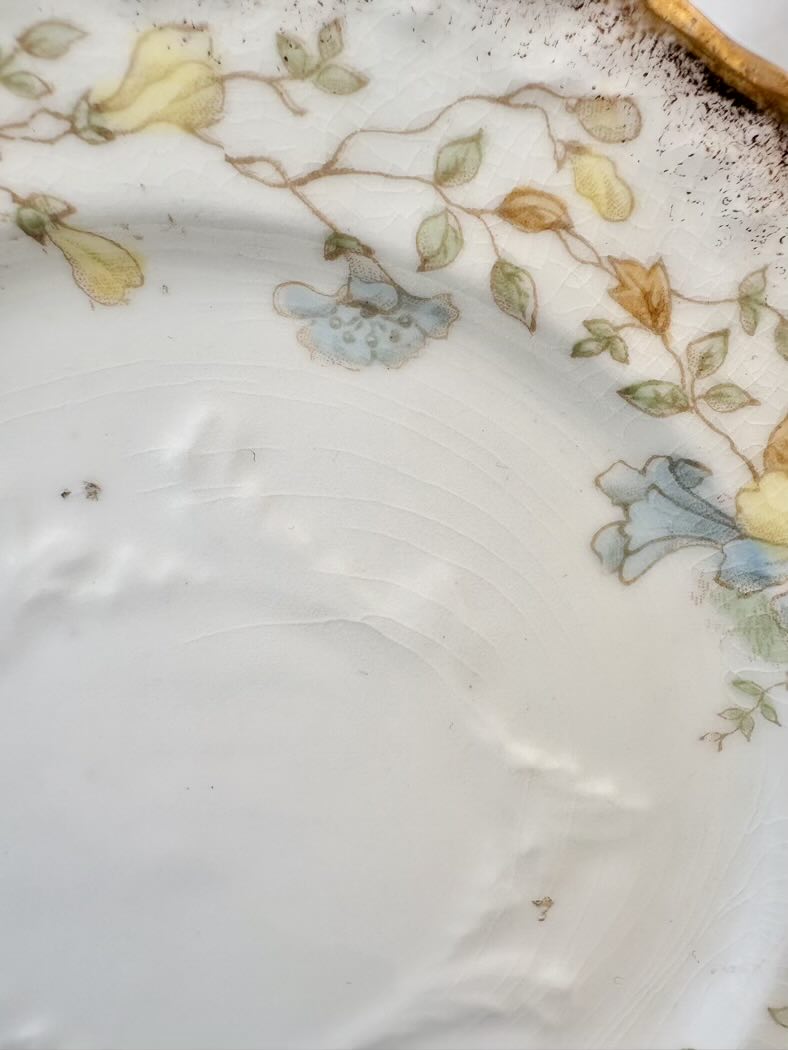 Close-up of a floral-patterned ceramic plate with a textured surface.