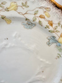 Close-up of a floral-patterned ceramic plate with a textured surface.