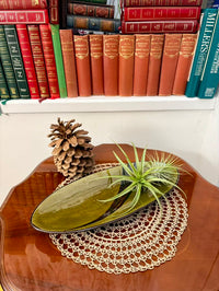 Decorative setting with a green dish, air plant, pine cone, and doily on a wooden surface with books in the background.