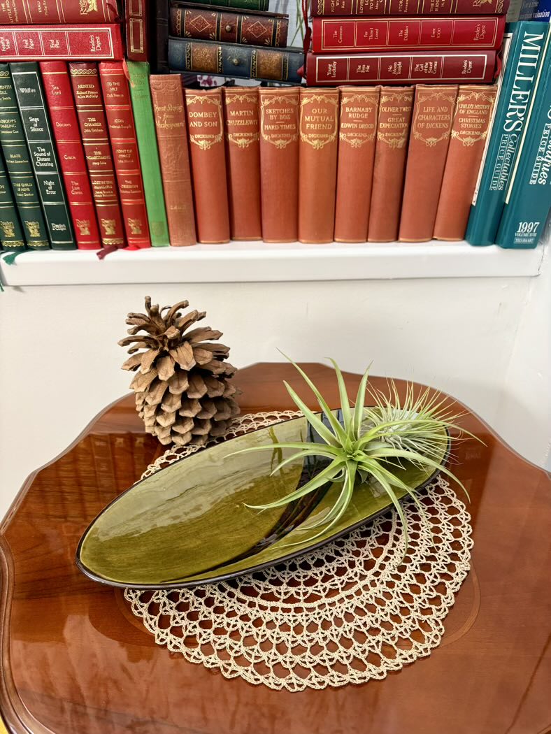 Decorative setting with a green dish, air plant, pine cone, and doily on a wooden surface with books in the background.